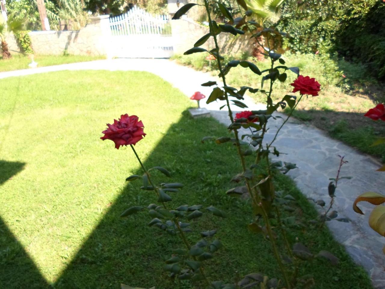 Hotel Villa Basil Ciliví Kültér fotó